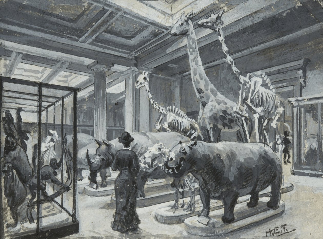 Vnitřní pohled na Britské muzeum s galerií s exponáty zvířat, kolem roku 1880 od Henry Edward Tidmarsh