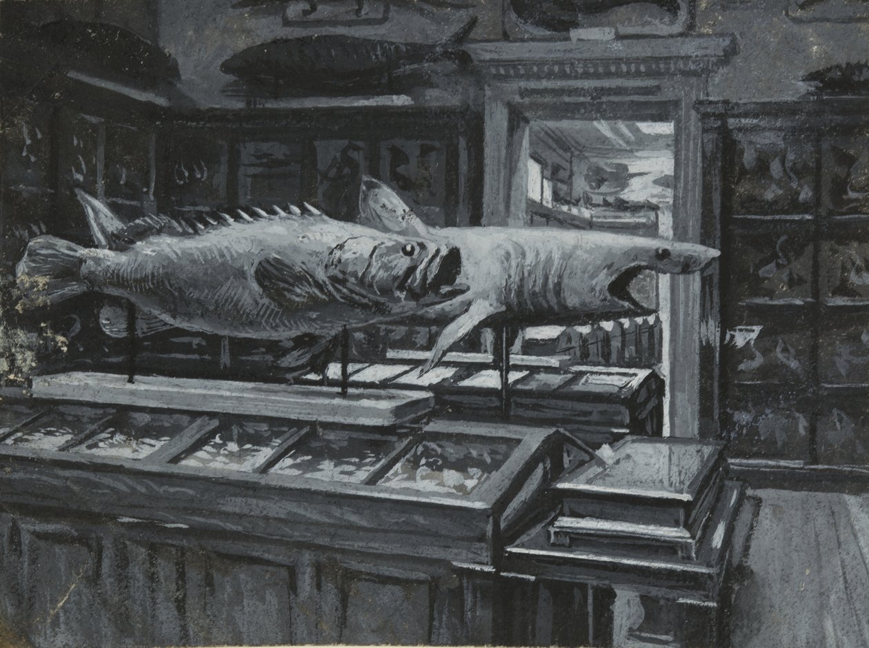 Závěsný od Henry Edward Tidmarsh