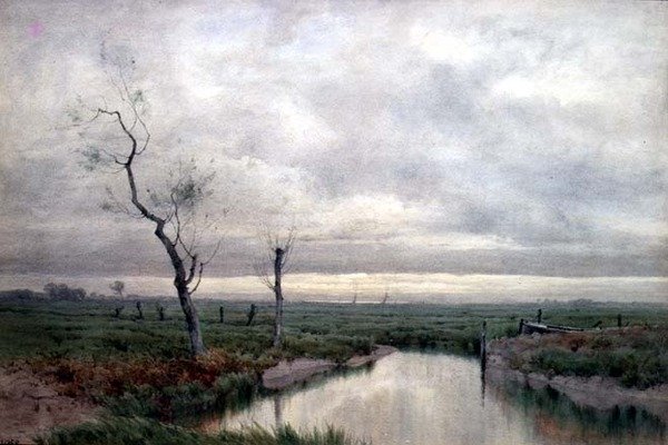 Coastal Marshlands (akvarel) od Henry Farrer