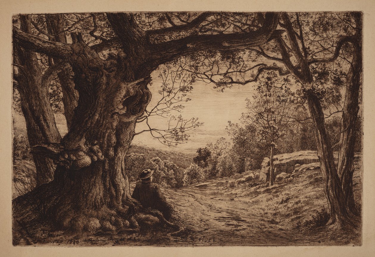 Na svahu od Henry Farrer