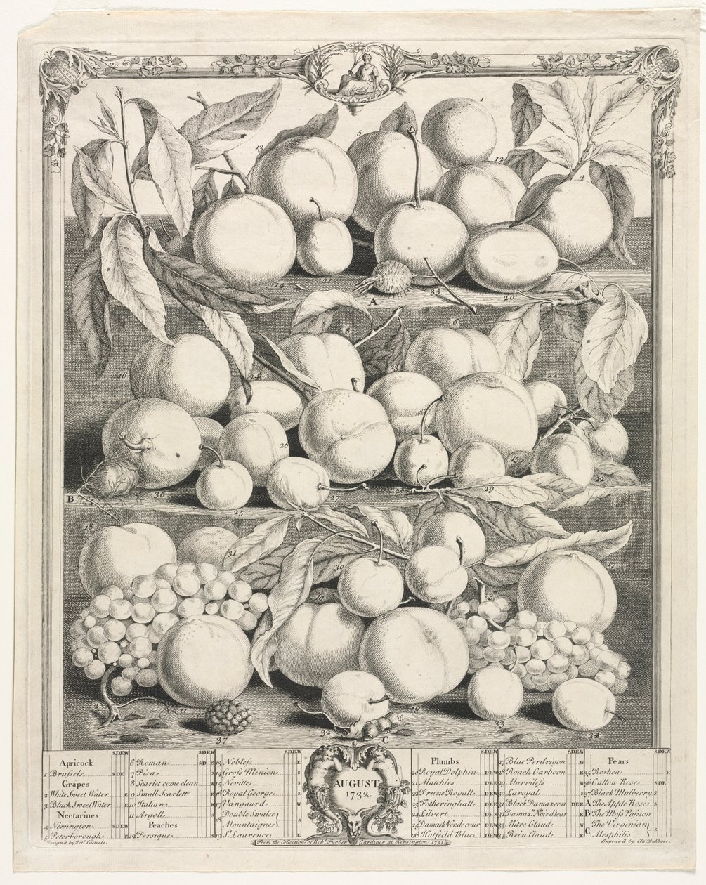 Dvanáct měsíců ovoce: srpen 1732. od Henry Fletcher