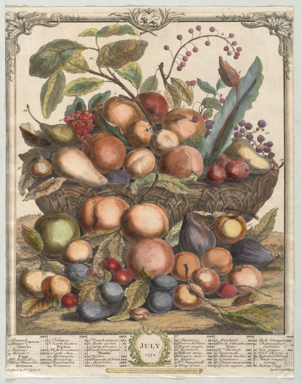Dvanáct měsíců ovoce: červenec 1732. od Henry Fletcher