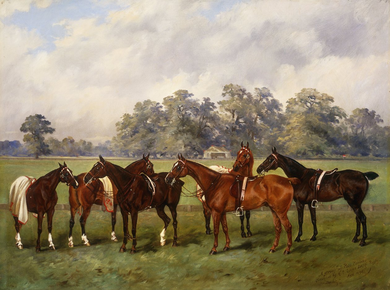 Skupina Polo poníků, Dainty, Gold, Redskin, Miss Edge a Piper, majetek sira Humphrey de Trafford, Bart, 1895 od Henry Frederick Lucas Lucas