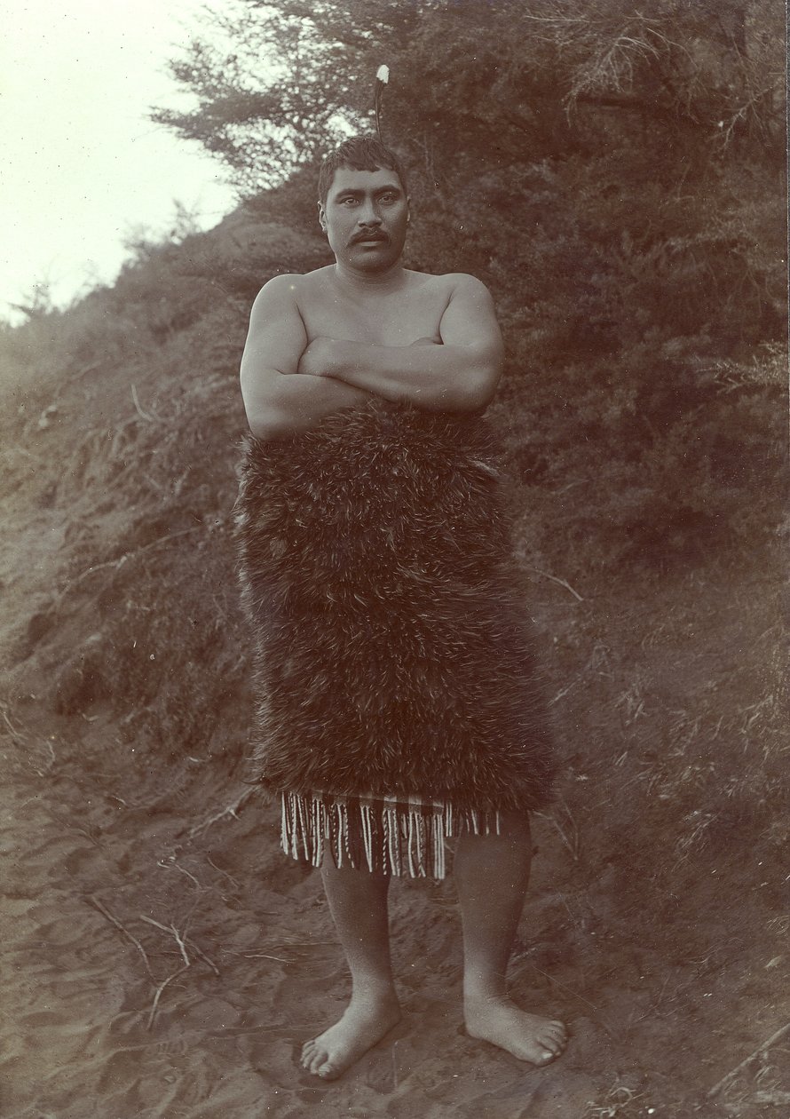 Maorská studie, cca 1910 (stříbrný želatinový tisk) od Henry Gaze