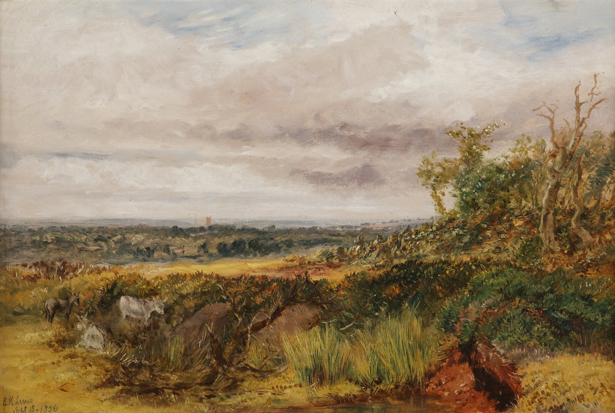 Krajina, 1856 od Henry Harris Lines
