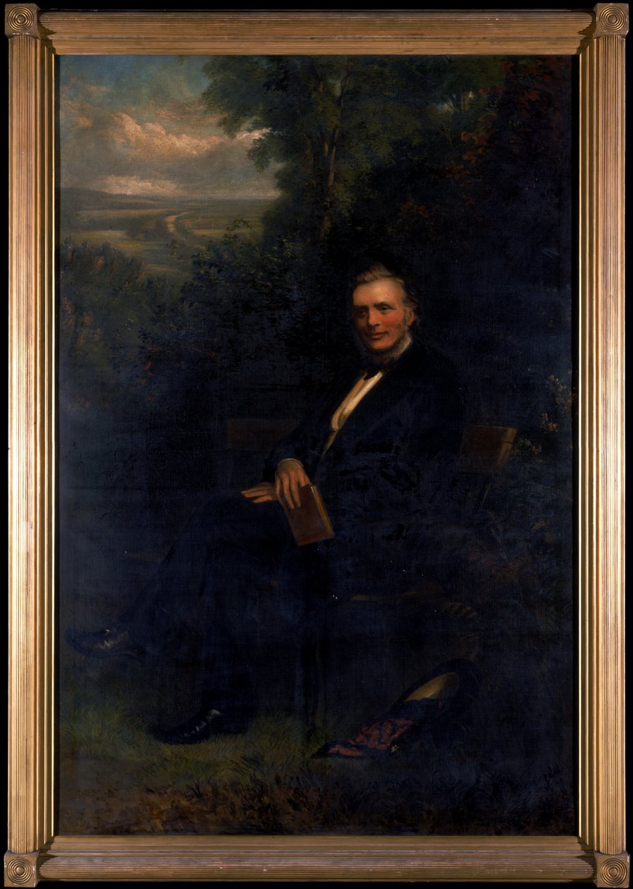 Portrét Johna Mawsona, 1868 od Henry Hetherington Emmerson