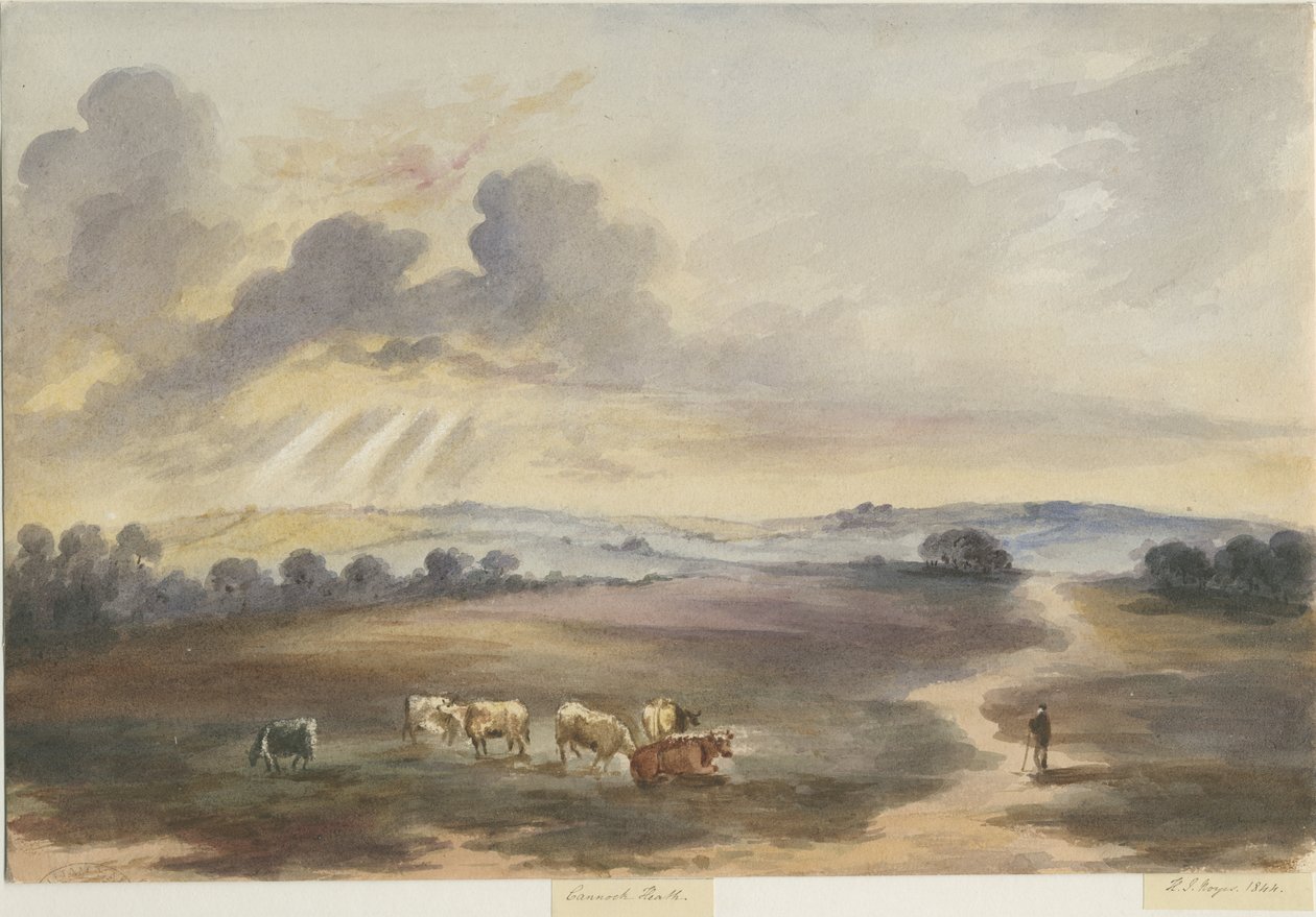 Cannock Chase - "Heath": malba vodovými barvami, 1844 od Henry James Noyes