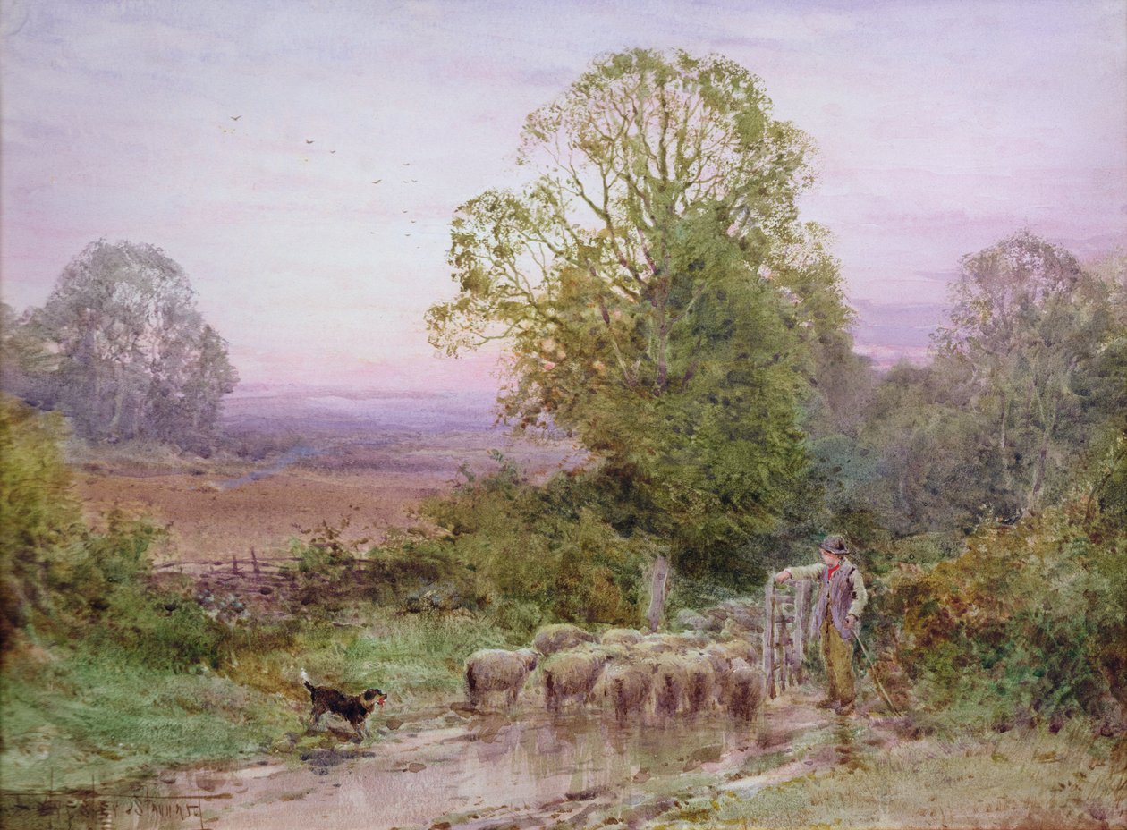 Pasení ovcí (akvarel) od Henry John Sylvester Stannard