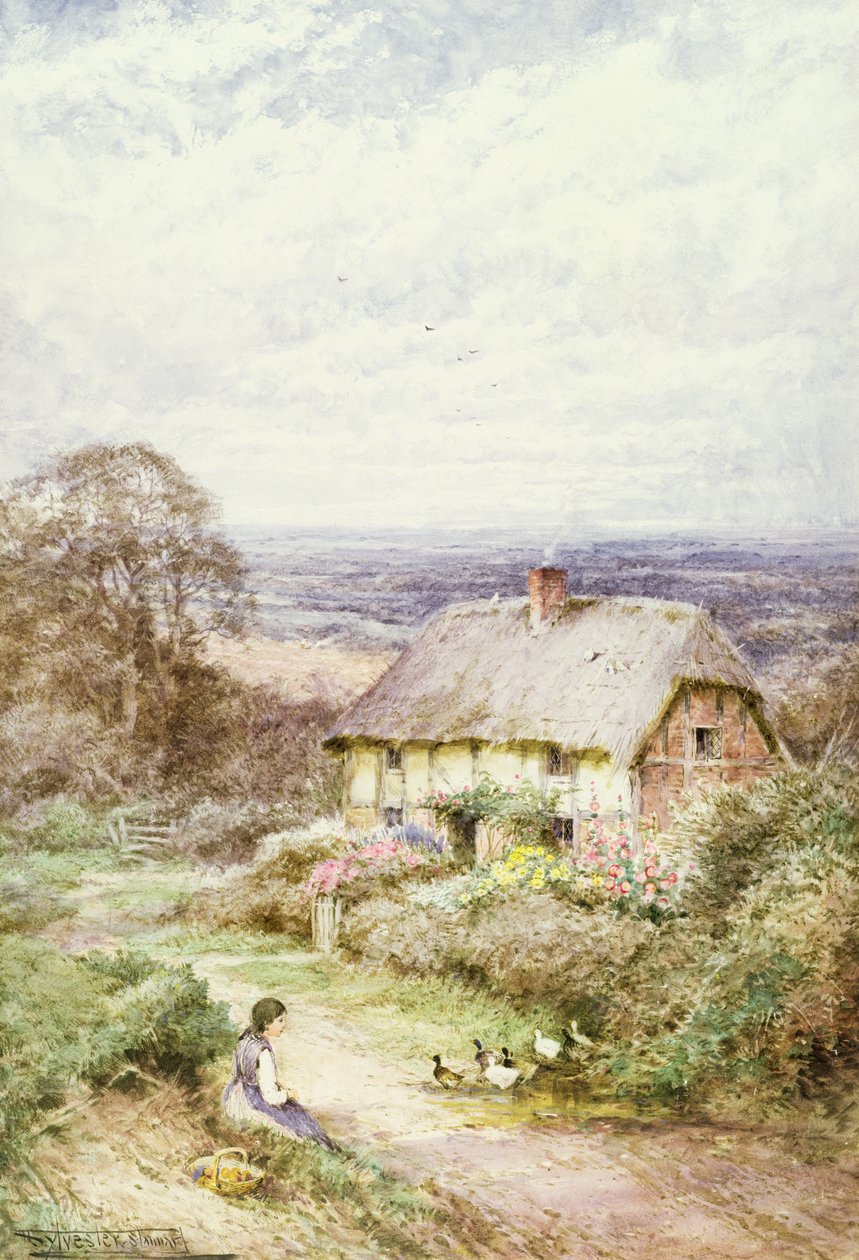 Došková chaloupka (akvarel) od Henry John Sylvester Stannard