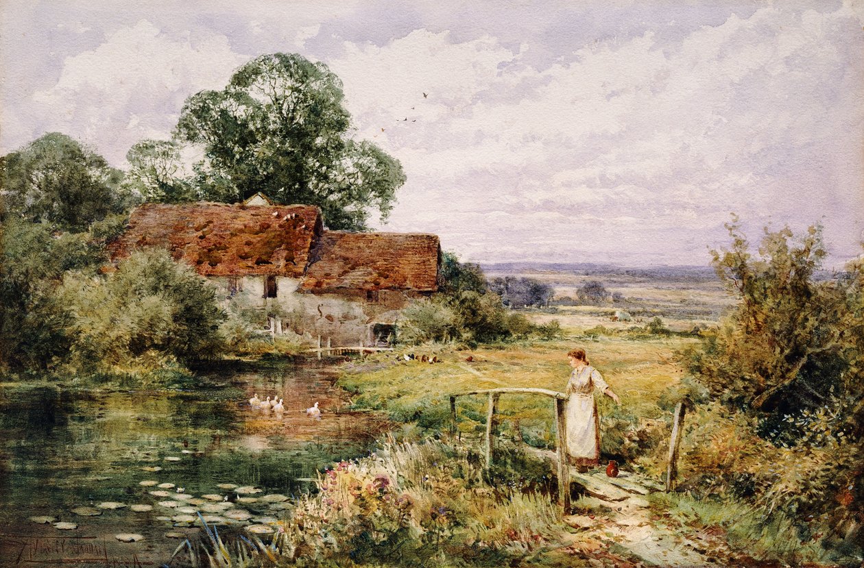Pozorování Kachny od Henry John Sylvester Stannard