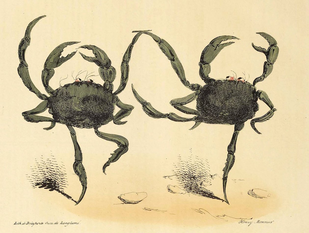 Fantastický tanec z La Caricature, hospoda. 1831 litografie, 1831. od Henry Monnier