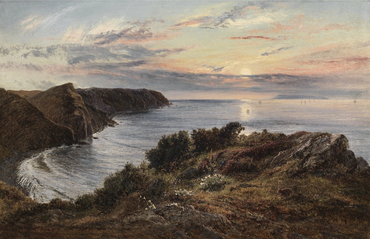 Přes Shipload Bay na Lundy Island, Severní Devon, 1859 od Henry Moore