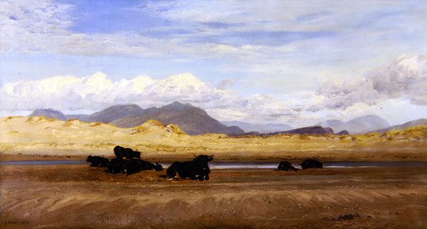 Pobřeží severního Walesu, dobytek vyhřívající se na pláži od Henry Moore