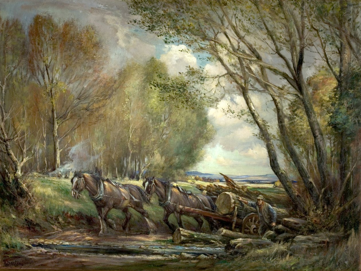 Odvoz dřeva, Stirlingshire, Skotsko od Henry Morley