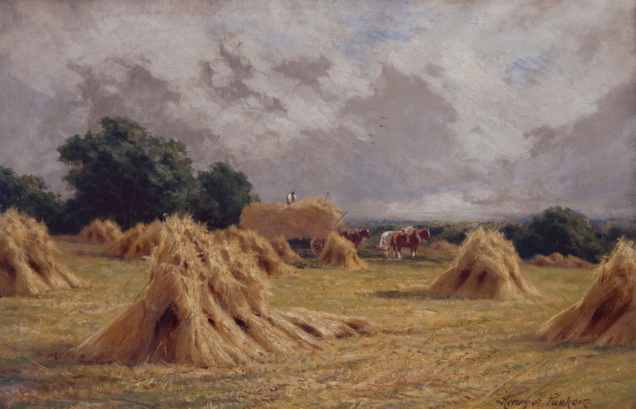 Kukuřičné pole v Harlow, Essex (olej na plátně) od Henry Parker