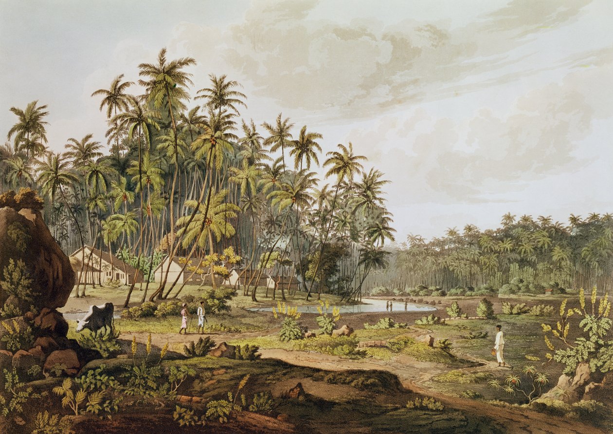 Pohled poblíž Point du Galle, Ceylon, rytý Daniel Havell (1785-1826), publikoval v roce 1809 od Henry Salt