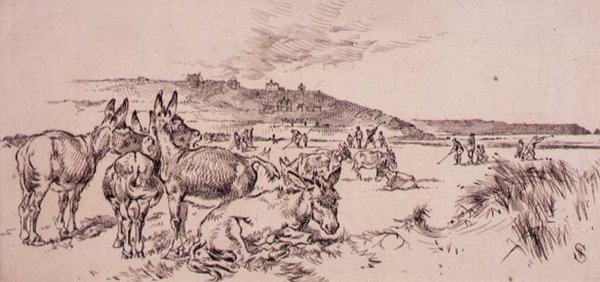 Osli na golfovém hřišti, ilustrace z časopisu 