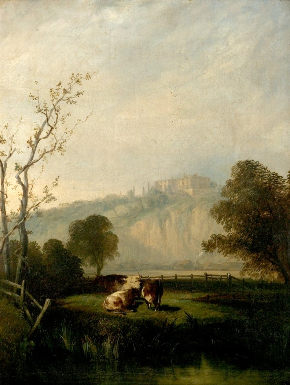 Nottingham Meadows, 1847 od Henry Smyth