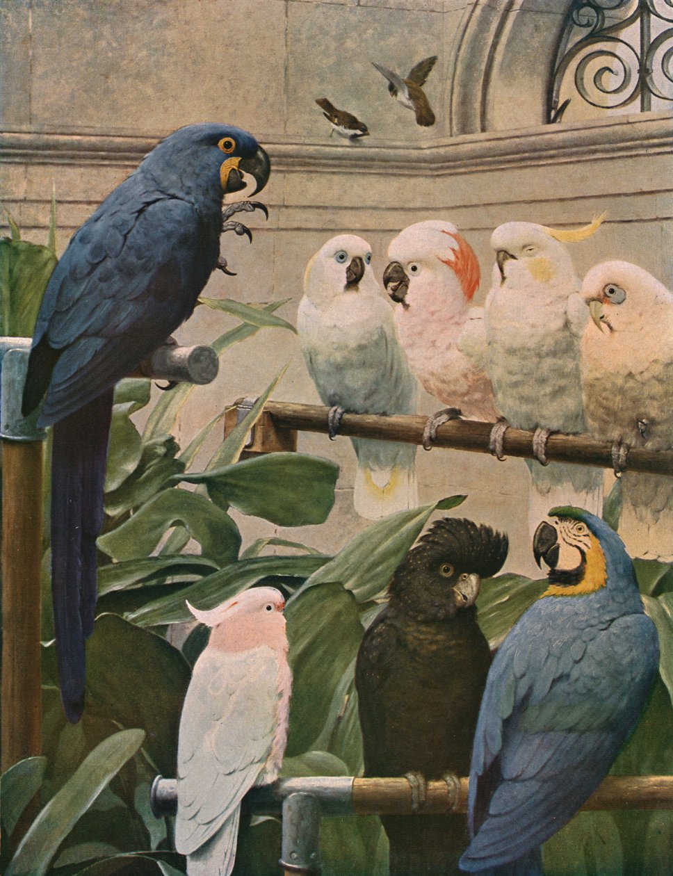 Výběrový výbor, 1891, c1930. od Henry Stacey Marks