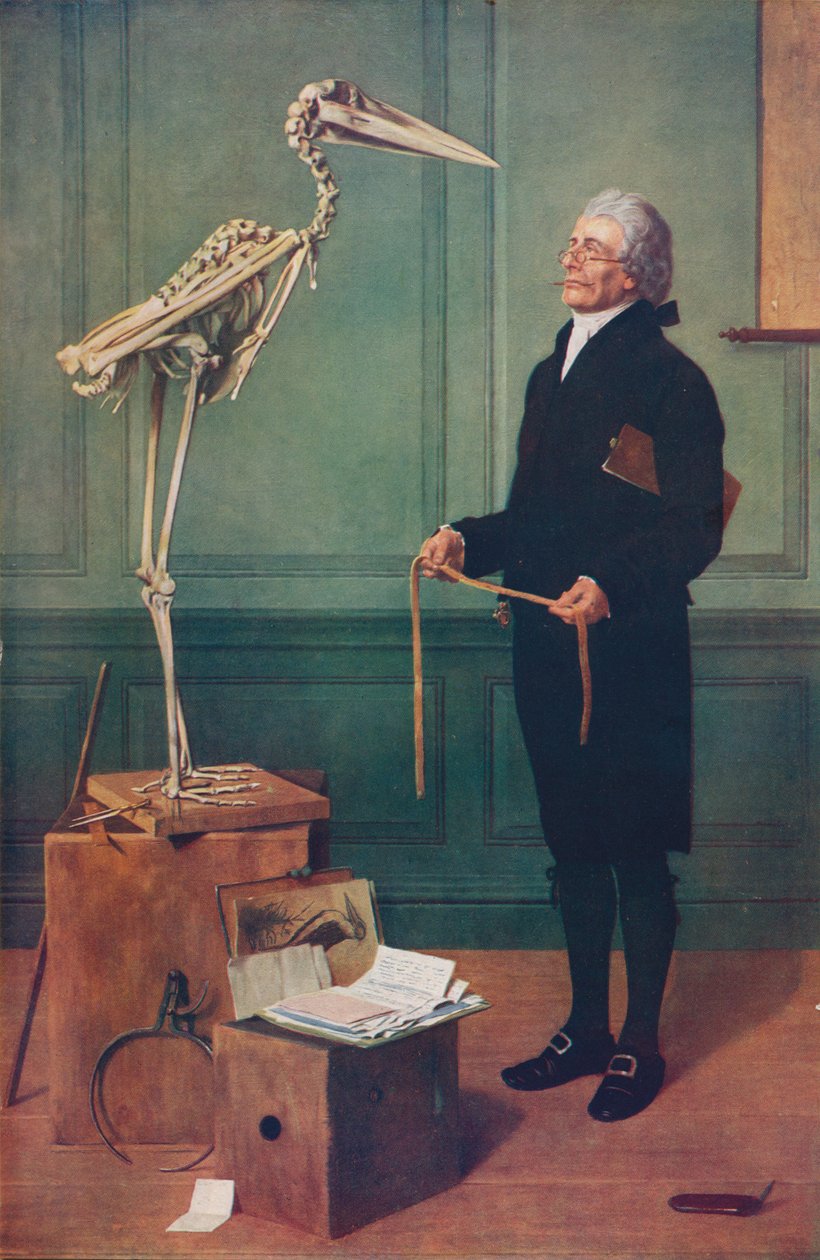 Měření je věda, 1879, c1915 od Henry Stacey Marks