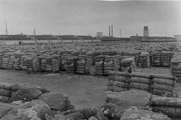 Moody Compress, Galveston (černobílá fotografie) od Henry Stark