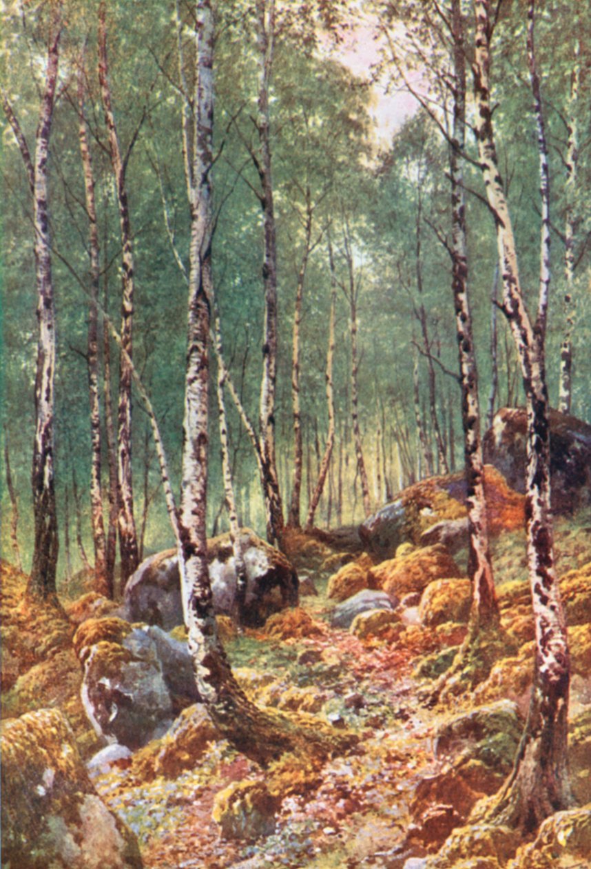  od Henry Sutton Palmer