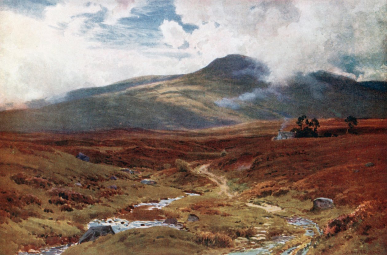 Vřesoviště u Killinu, Perthshire (barevná litografie) od Henry Sutton Palmer