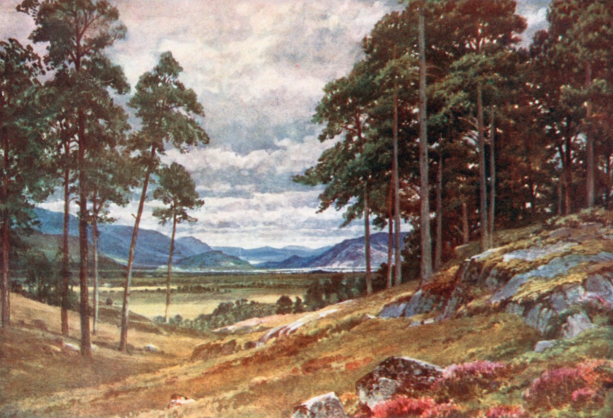  od Henry Sutton Palmer