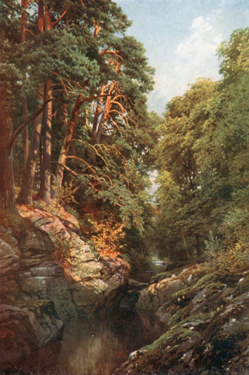  od Henry Sutton Palmer