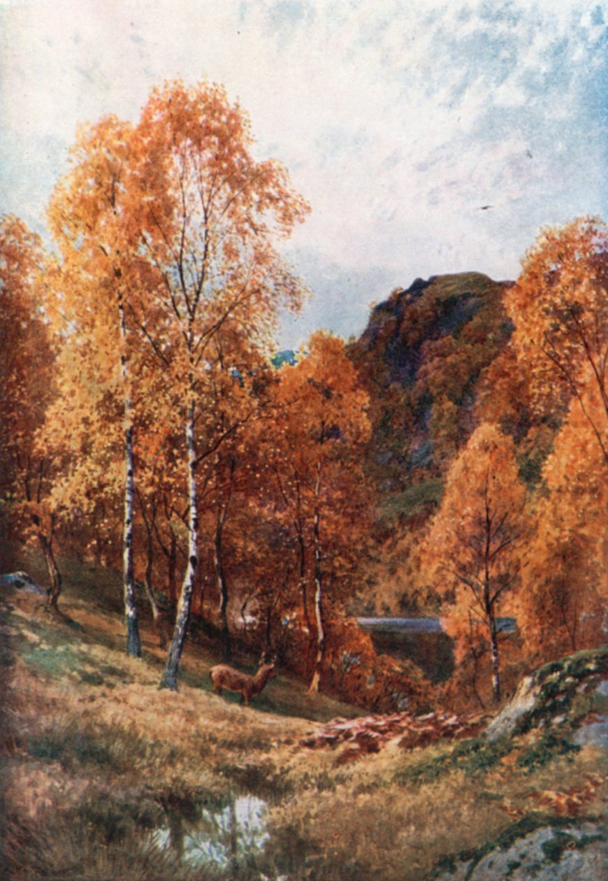 Zlatý podzim, Trossachs, Perthshire (barevná litografie) od Henry Sutton Palmer