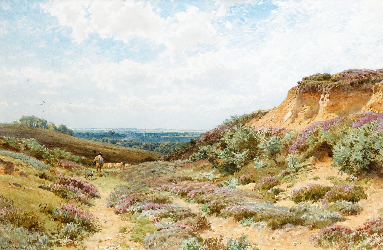 Heather na Surrey Heath (wc na papíře) od Henry Sutton Palmer