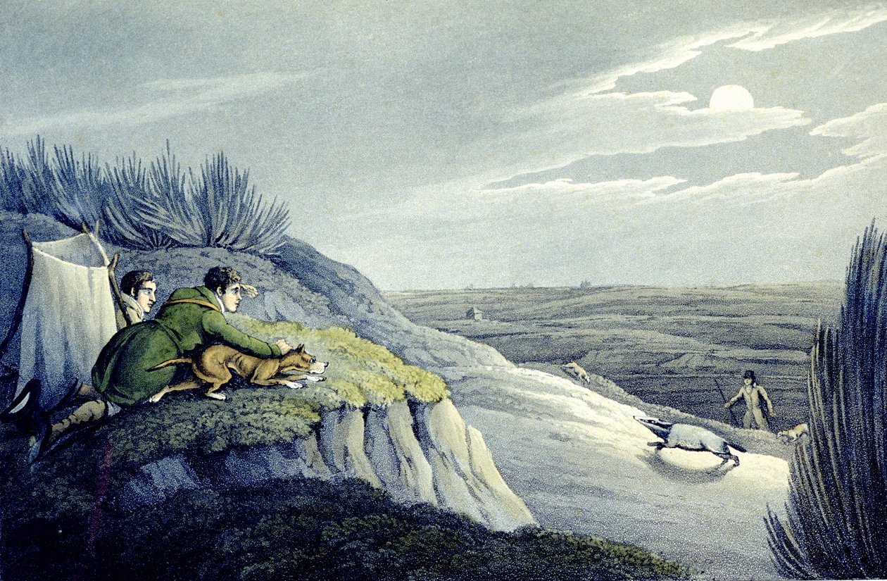 Badger Catching from the National Sports of Great Britain, vyryl J.H. Clarke od Henry Thomas (after) Alken