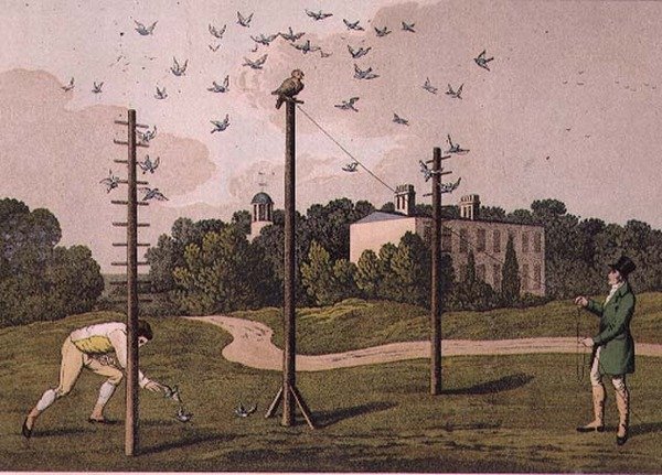 Owling, ryl I. Clark, hospoda. od T. McLeana, Londýn od Henry Thomas (after) Alken
