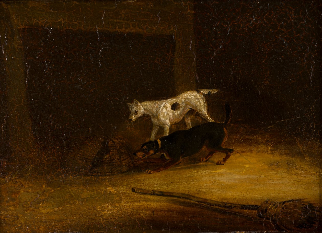 Dva teriéři se snaží dostat na krysu v pasti, kolem 1805-51 (olej na panelu) od Henry Thomas (follower of) Alken