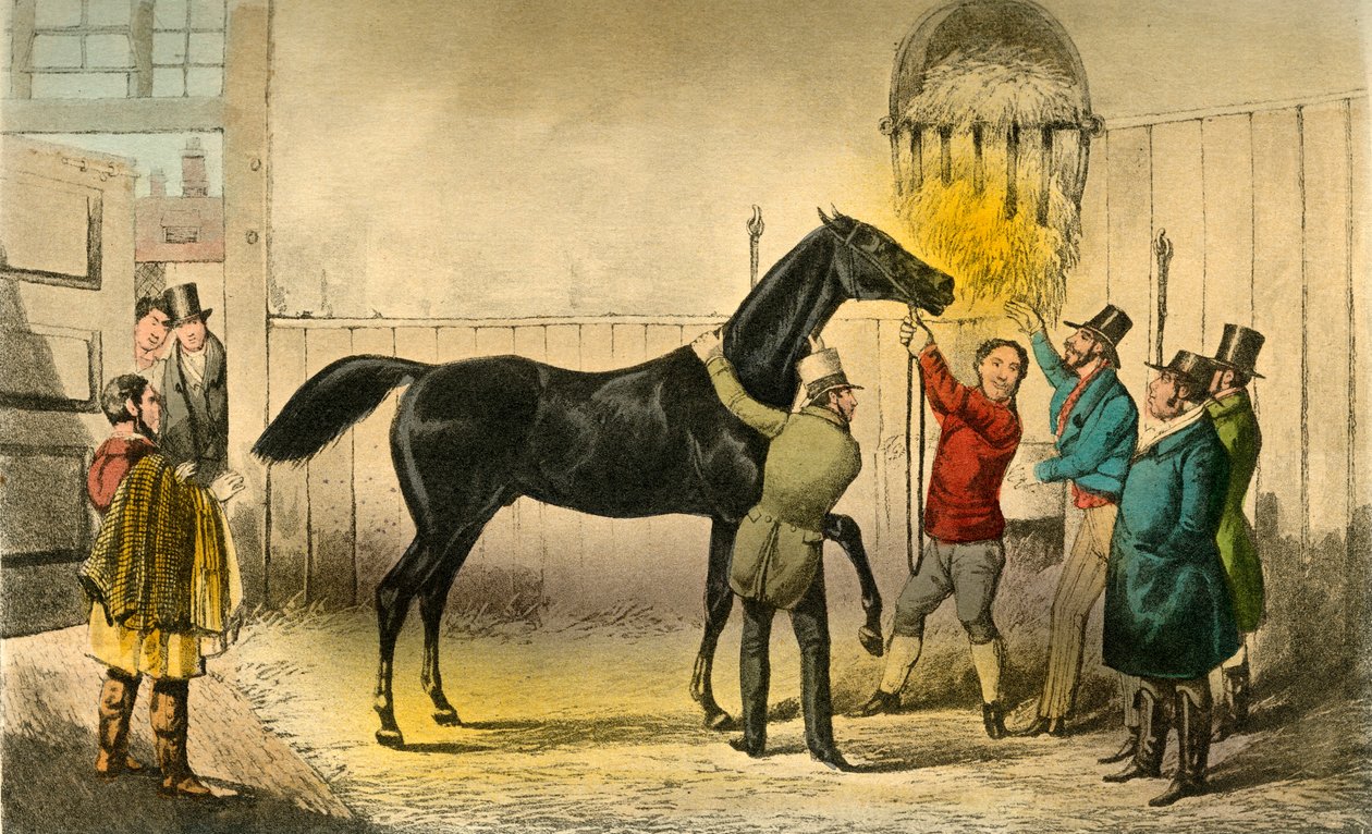 Baron vills jeho Mokrý, 1838 od Henry Thomas Alken