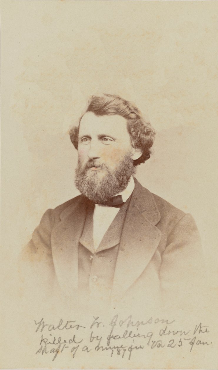 Carte-de-visit portrét Waltera W. Johnsona, 1868. od Henry Ulke