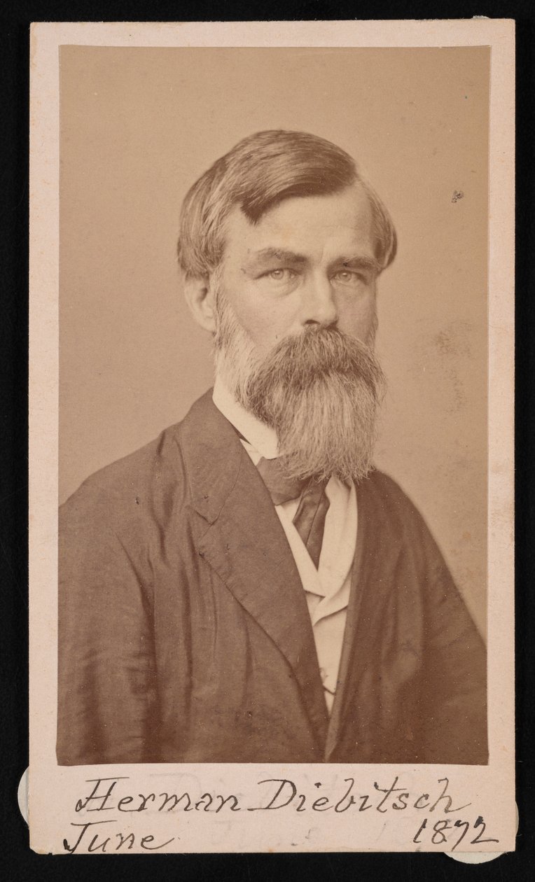 Portrét Hermana Henryho Diebitsche 1818-1883, 1871. od Henry Ulke