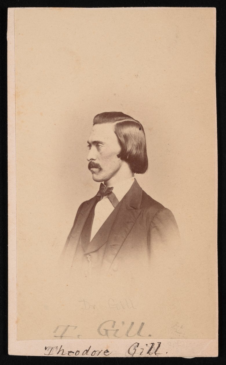Portrét Theodore Nicholas Gill 1837-1914, mezi 1865 a 1870. od Henry Ulke
