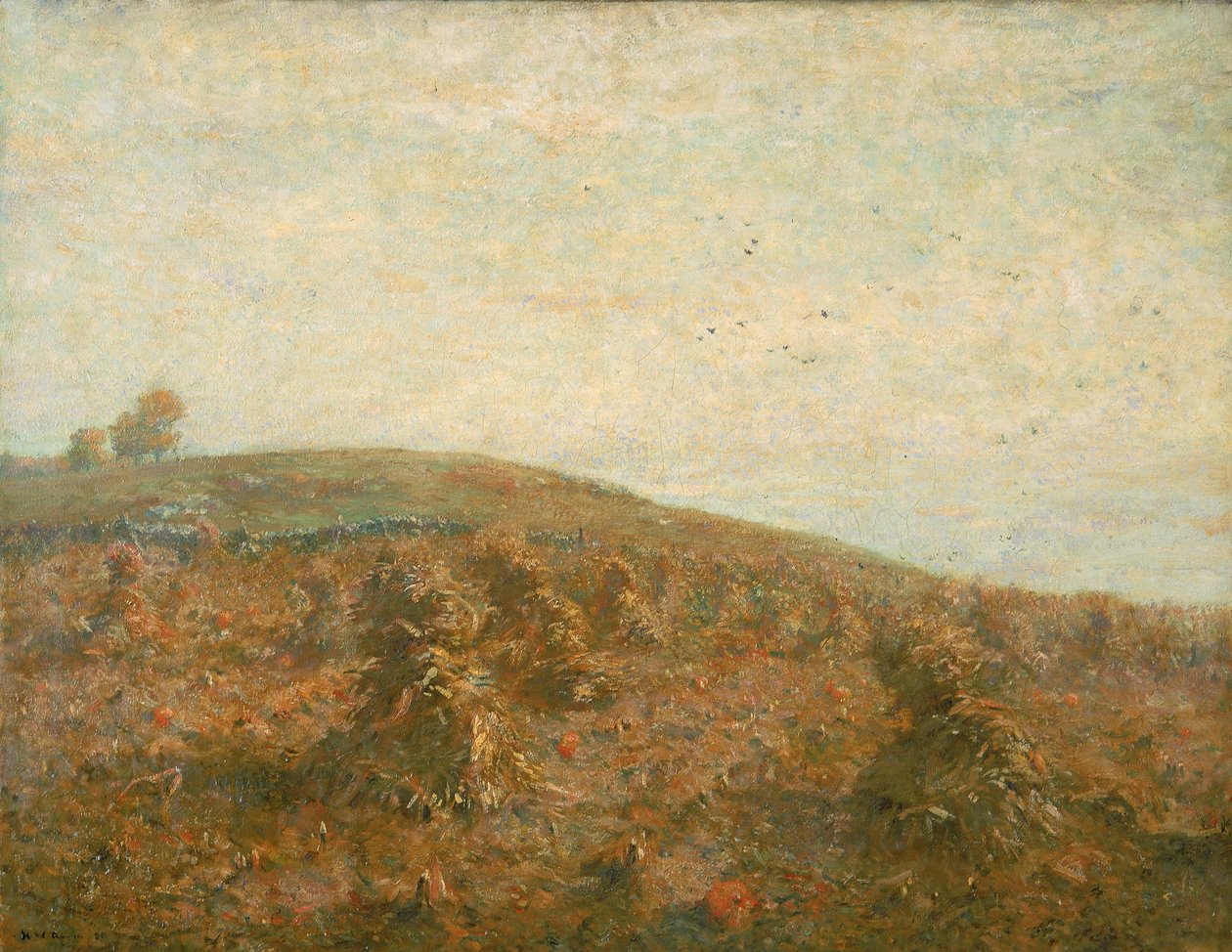 Kukuřičné pole. od Henry Ward Ranger