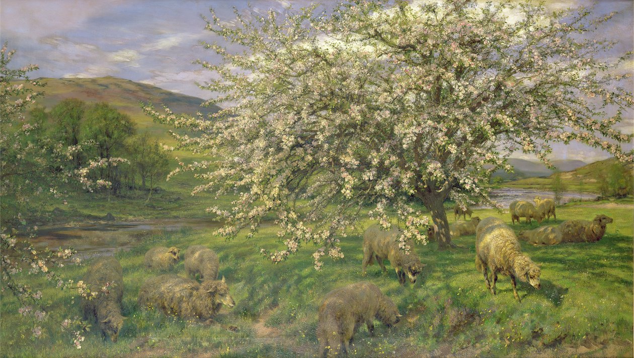 Neznámý obrázek od Henry William Banks Davis