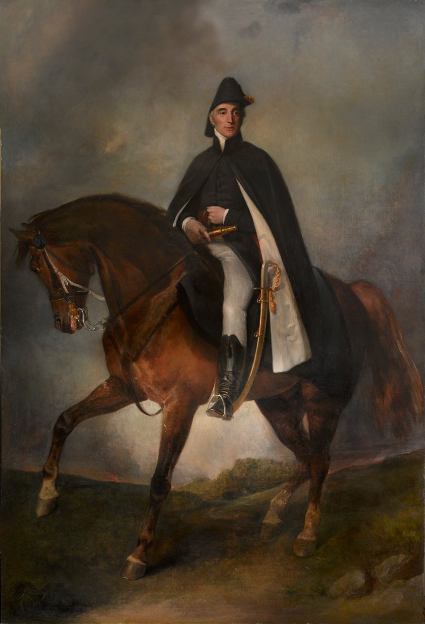 První vévoda z Wellingtonu v Kodani (olej na plátně) od Henry William Pickersgill