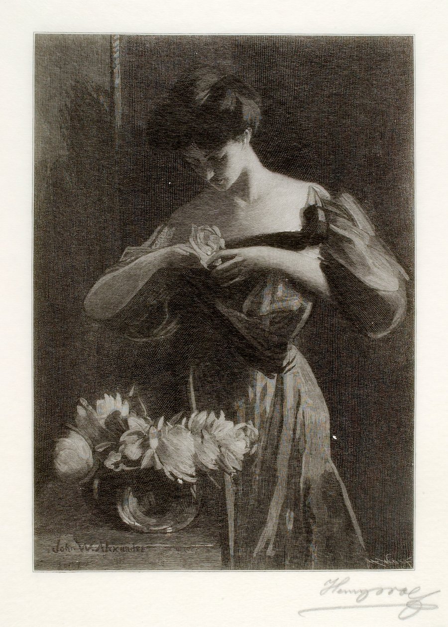 Květina od Henry Wolf