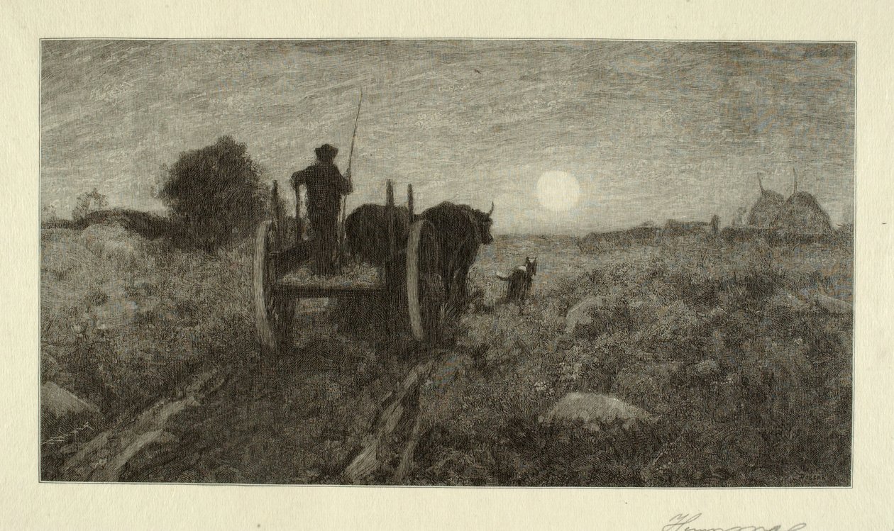 Domů od Henry Wolf