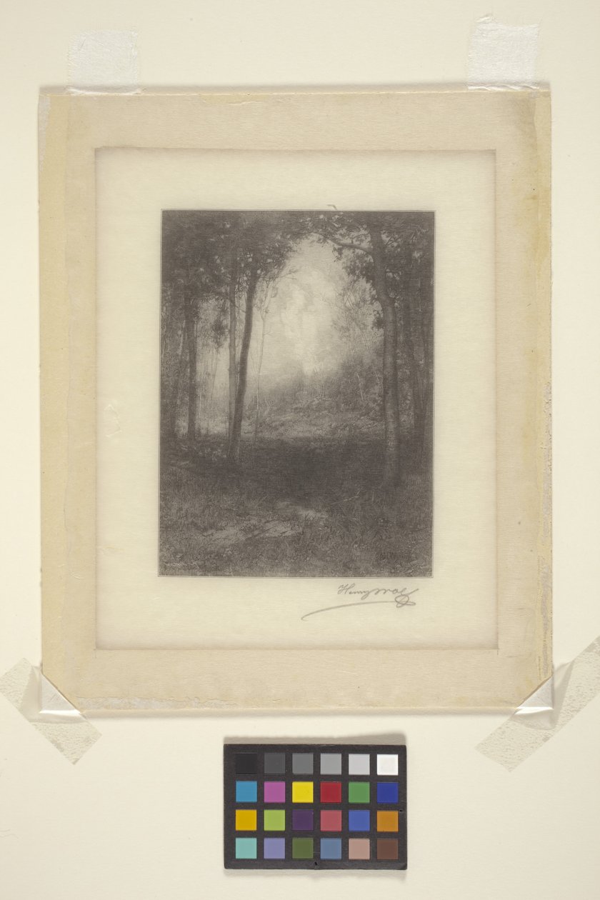 V Adirondacks (inkoust) od Henry Wolf