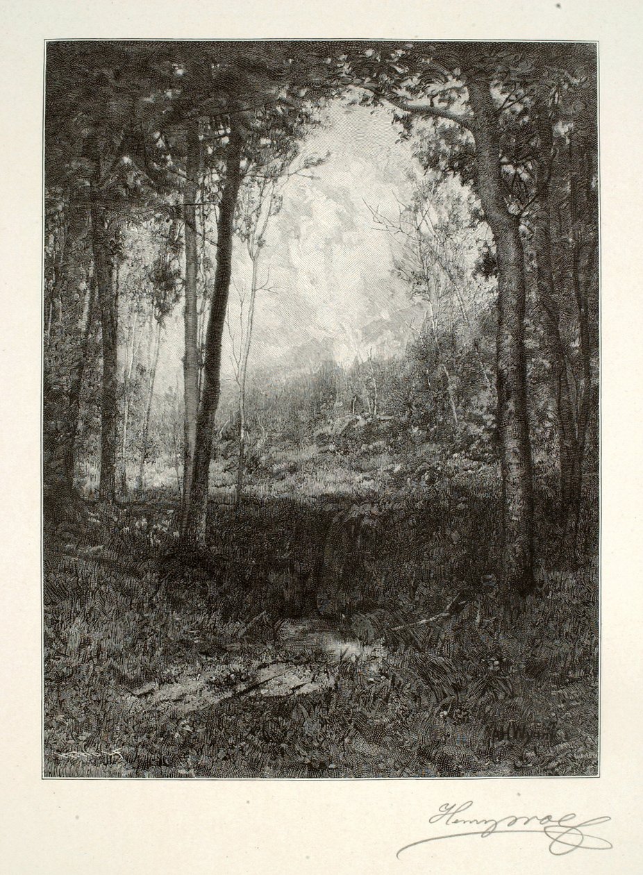 V Adirondacku od Henry Wolf