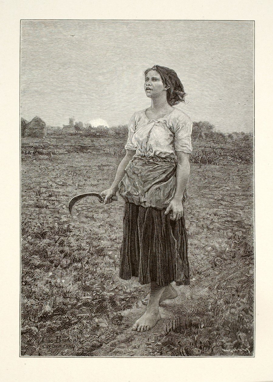 Píseň skřivana od Henry Wolf