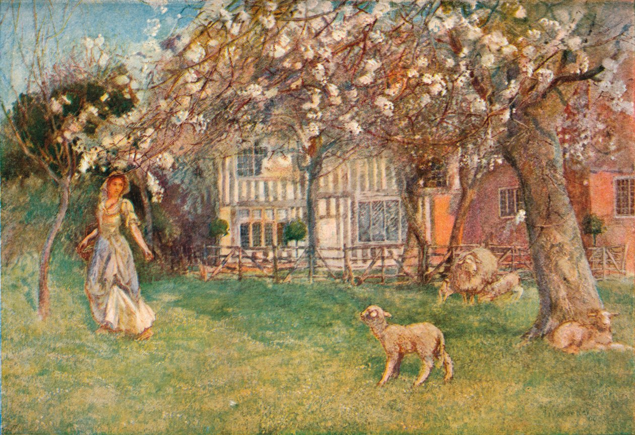 "Jehňata", c1904 od Herbert Alexander Collins