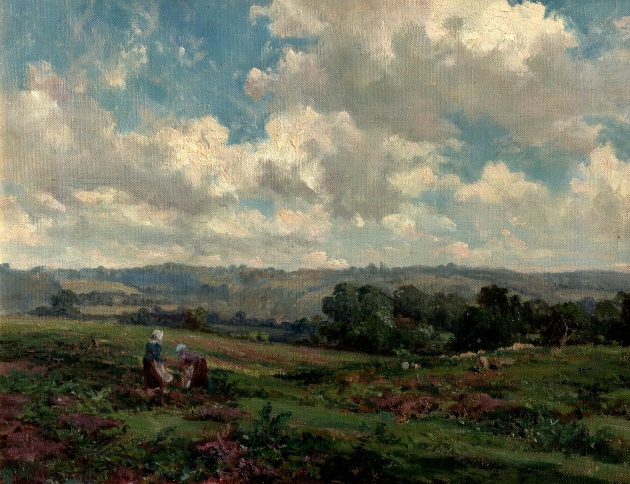 Fields v Surrey, 1890 od Herbert Hughes Stanton