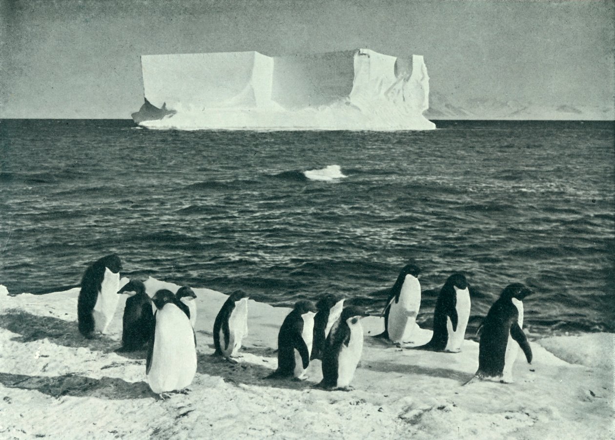 A Berg Drifting v McMurdo Sound, c19101913, 1913. od Herbert Ponting