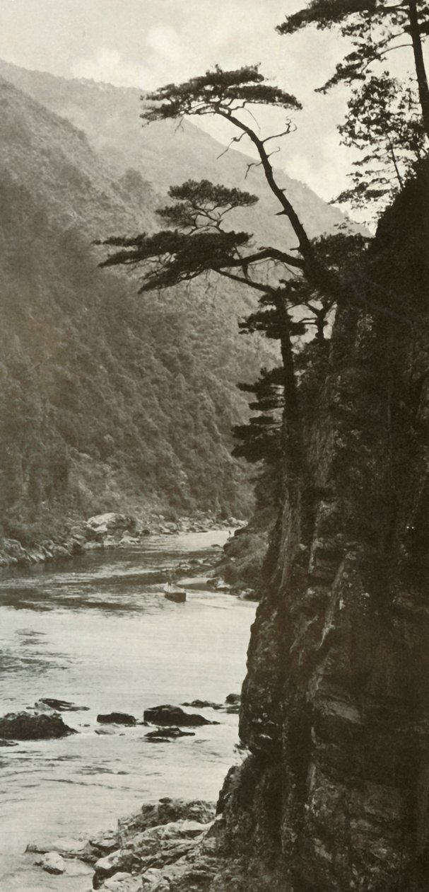 Glen on the Katsura-Gawa, 1910. od Herbert Ponting